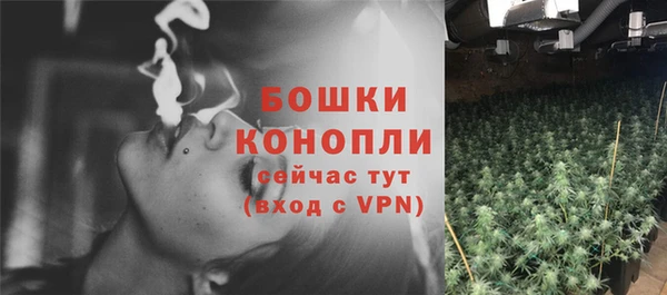 прущие крисы Переславль-Залесский