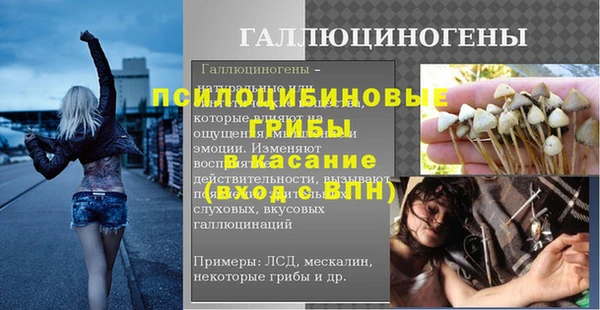 spice Пестово