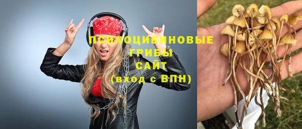 spice Пестово