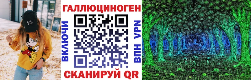 Купить где  Кинель  Псилоцибиновые грибы Psilocybe 