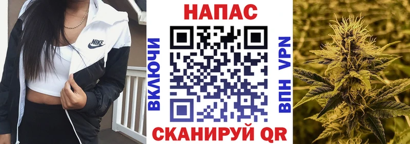 Купить где  Кинель  Канабис Amnesia 